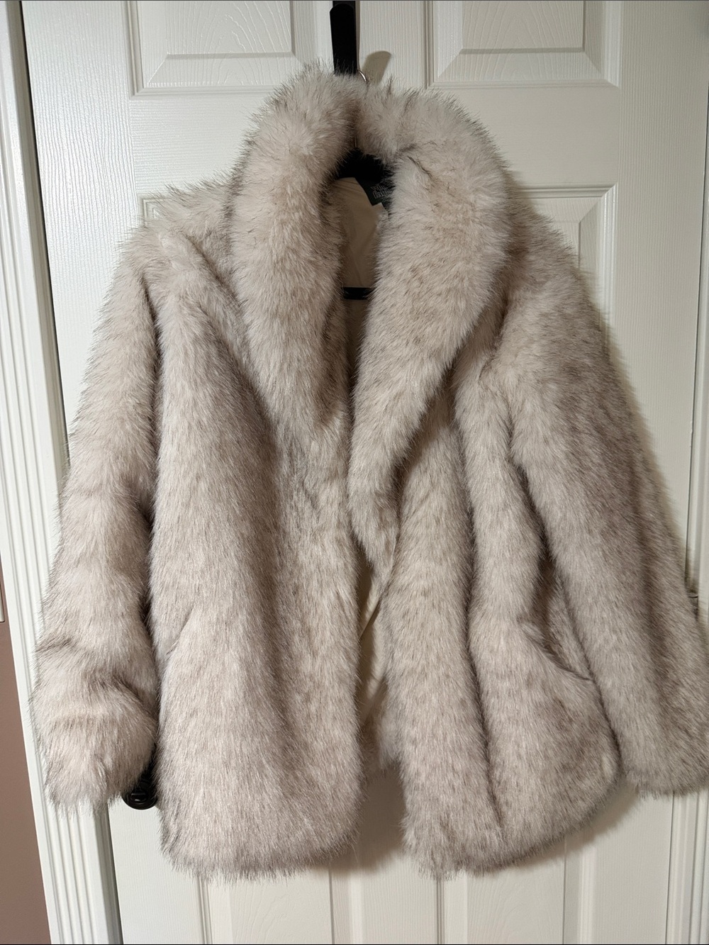 wild fable Plush Faux Fur Teddy Jacket in Light Beige